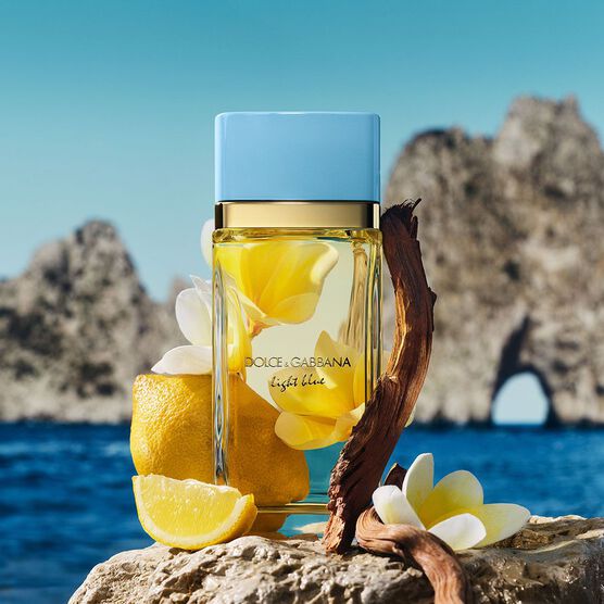 Perfume Dolce&Gabbana Light Blue Feminino Eau de Parfum